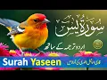 Download Lagu Best Surah Yaseen Recitation | Powerful Quran Tilawat to Cleanse Your Soul | سورة يس | Daily Quran47