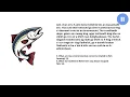 Higher Gaelic Learners e-Sgoil Revision Materials - Society Fishfarming