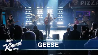 Geese - Taxes
