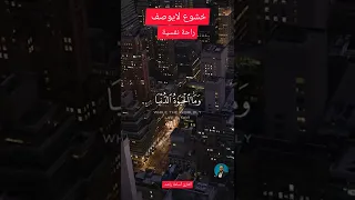 الله يبسط الرزق لمن يشاء ويقدر تلاوة خاشعة وهادئة ومؤثرة القارئ أسامة راشد 