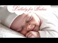 Download Lagu Lullaby for Babies to go to Sleep | Cute Music for Babies | Baby Lullaby songs go to sleep 8 HOURS