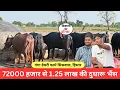 Download Lagu दिवाली का बोनस - 72000 हजार से 1.25 लाख की दुधारू भैंस || GANGA DAYRI FARM SISWAL