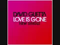DAVID GUETTA-LOVE IS GONE ( VERSION ORIGINAL )