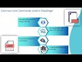How to Execute Unix Commands in DataStage DataStage Training Unix Commands Tutorial