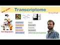 What is transcriptome Introduction part 1 Learn from scratch for beginners