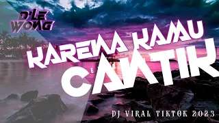 Download DJ Karena kamu cantik || Dj Viral TikTok best VERSI CHIPMUNK SLOW AND REVERB MP3