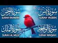 Lagu Very Nice Voice Surah Yaseen (Yasin) | Surah Rahman | Surah Waqiah | Surah Mulk l Reciter Alaa Aqel
