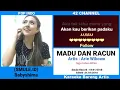 Download Lagu MADU DAN RACUN   KARAOKE BARENG ARTIS   karaoke dangdut no vokal audio jernih
