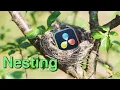Your Life in DaVinci Resolve made easier with Nesting