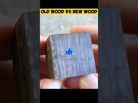 NEW WOOD VS OLD WOOD | WHO IS STRONG