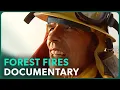Download Storm Rider (Forest Fire Documentary) | Real Stories mp4 3gp mp3 videos - waplic