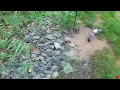 Somers Point Live Birdfeeder Cam looking East