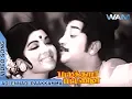Download Lagu Adi Ennadi Raakamma Video Song | அடி எண்ணடி ராக்கம்மா.. | Pattikada Pattanama Tamil Movie Songs