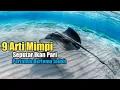 Download Lagu 9 Arti Mimpi Seputar Ikan Pari, Pertanda Bertemu Jodoh