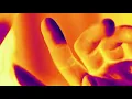 The Plot In You - FEEL NOTHING (Official Lyric Video)