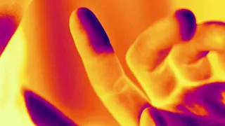 The Plot In You FEEL NOTHING Official Lyric Video 