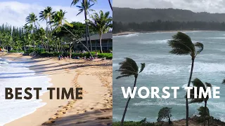 THIS is the Best Time to Visit Hawaii Best Weather Fewest Crowds and Best Prices
