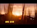 陽光空氣 🌅 威利 : 晨早空氣 清新開朗