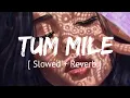 Download Lagu Tum mile - [ Slowed + Reverb ] Javed Ali | Textaudio lyrics