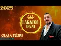Lagu Lakatos Dani 2025 - Olaj a tűzre 🔥 ♤♧ ( Aradszky László Cover)