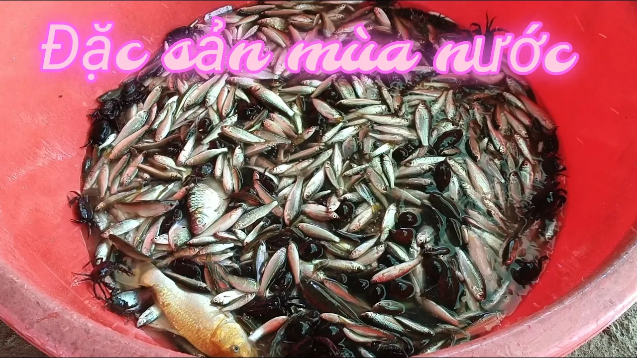 Đặc sản mùa nước nổi 21