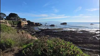                            دندنها