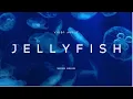 Jelly Fish - Ubur-Ubur (Relaxation Music and Videos)