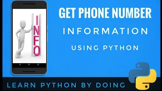 Get phone number information using python