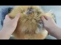 QueenLine Natural 100 Real Fox Fur Hats