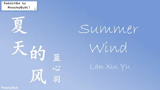 Download [夏天的风] 《Summer Wind》 Lan Xin Yu (Eng|Chi|Pinyin) MP3