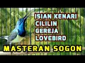 Download Lagu MASTERAN SOGON ISIAN KENARI, CILILIN, LOVEBIRD, GEREJA, sogon gacor dor