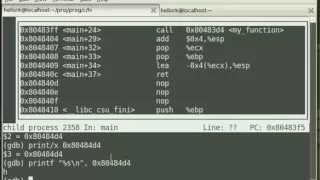 C Programming Disassembly Debugging Linux GDB