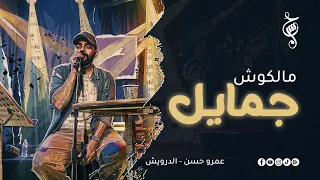 عمرو حسن   مالكوش جمايل   حفل الساقية   ابريل ٢٠٢٦ دندنها