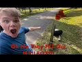 Oh No Somebody Hit My Mailbox How to install a new mailbox Fix it Dad