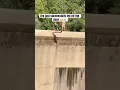 Download Lagu It was planned #viral #fun #water #dam #sendit #wow #travel #shorts #shortvideo #adventure