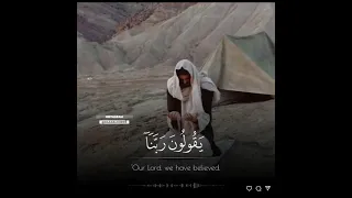 الشيخ رعد محمد الكردي سورة المؤمنون 