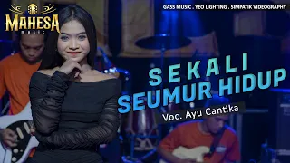 sekali seumur hidup ayu cantika mahesa music cover sekali seumur hidup