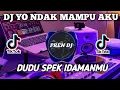 Download Lagu YO NDAK MAMPU AKU DUDU SPEK IDAMANMU REMIX FULL BASS 2023 PALING MANTUL