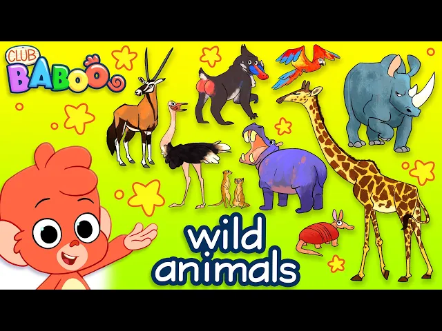 Download MP3 Learn Wild Animals For Kids | Wild Zoo Animals Names and Sounds for Children | Club Baboo