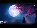Download Lagu Paro (Slowed Reverb) Aditya Rikhari | UNPLG'd | Sirchox | Trending Version