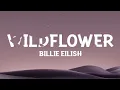 Download Lagu Billie Eilish   - WILDFLOWER.  (Lyrics)