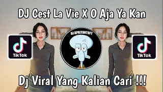 dj cest la vie x o aja ya kan viral tik tok terbaru 2024 yang kalian cari 