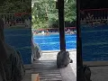 Download Lagu wisata pemandian mata air Mandala, untuk lokasi jelasnya bisa cek di deskripsi 🤗