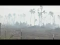 Fire season in effect Several brush fires across the panhandle in one week