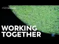 How Do Colonies Help Microorganisms Survive