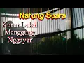 Download Lagu SUARA PERKUTUT GACOR TARUNG di gantangan