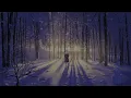 Chihei Hatakeyama - Freeze II