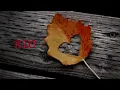 Rio.. layu dihujung mekar