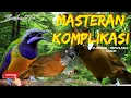 Download Lagu MASTERAN KOMPLIKASI FULL TEMBAKAN || CILILIN-TEPUS ABU-CUNGKOK #masteranmuraibatu #masterkicauan