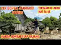 Download Lagu TERBARU‼️HARGA BONSAI SIAP PAJANG , ISTIMEWA📞0812-4680-9923@JeckpaeyBonsai91 